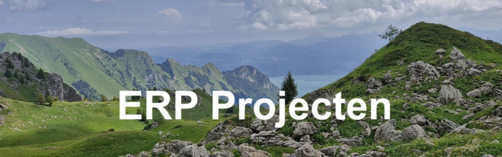 ERP Projecten